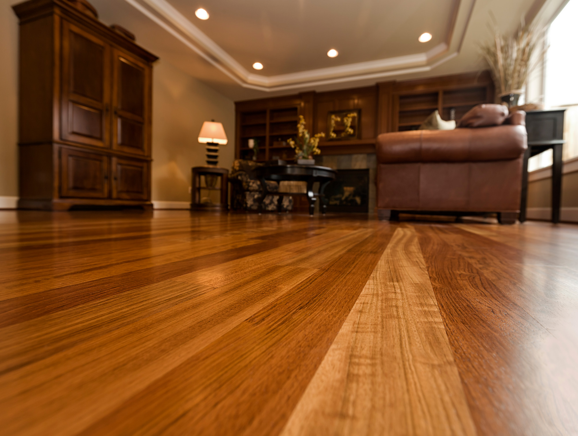 american traditional style living room with hardwood floor 